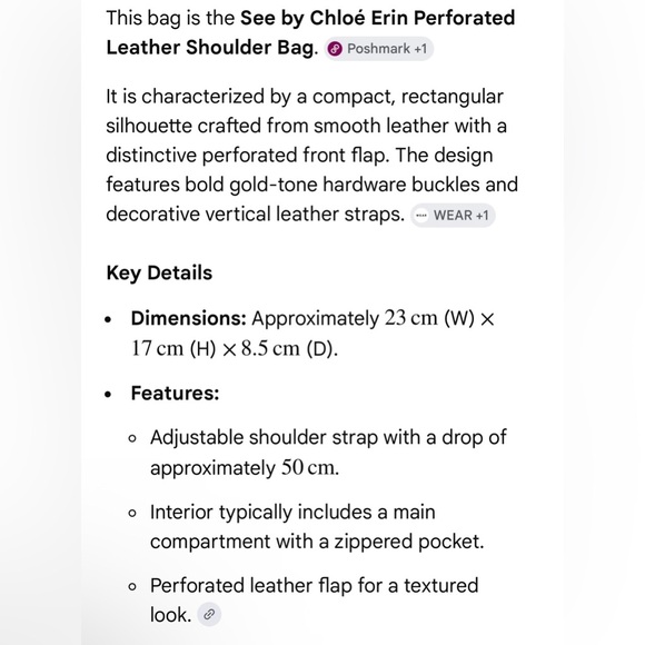 See by Chloé Erin Perforated Leather Shoulder Bag W/ Dustbag - Picture 16 of 16